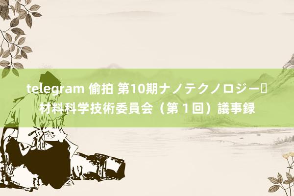 telegram 偷拍 第10期ナノテクノロジー・材料科学技術委員会（第１回）議事録