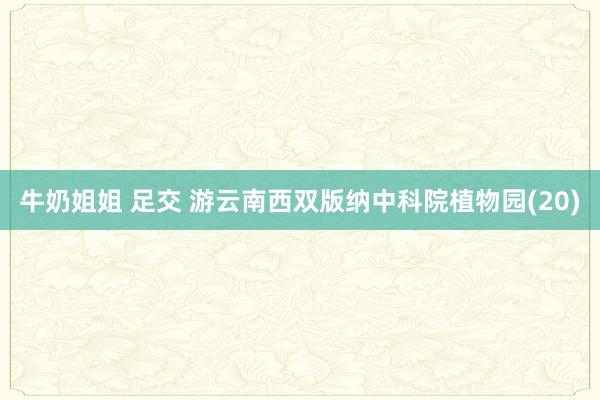 牛奶姐姐 足交 游云南西双版纳中科院植物园(20)