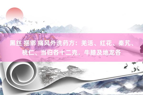 黑丝 捆绑 痛风外洗药方:羌活、红花、秦艽、桃仁、当归各十二克,牛膝及地龙各