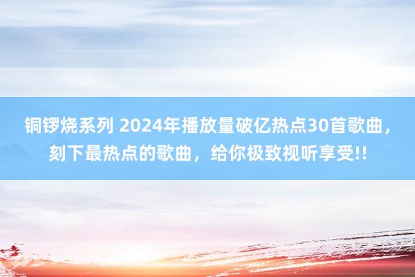 铜锣烧系列 2024年播放量破亿热点30首歌曲，刻下最热点的歌曲，给你极致视听享受!!