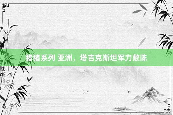 猪猪系列 亚洲,塔吉克斯坦军力敷陈