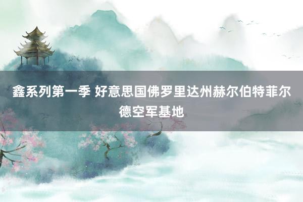 鑫系列第一季 好意思国佛罗里达州赫尔伯特菲尔德空军基地