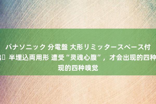 パナソニック 分電盤 大形リミッタースペース付 露出・半埋込両用形 遭受“灵魂心腹”,才会出现的四种嗅觉
