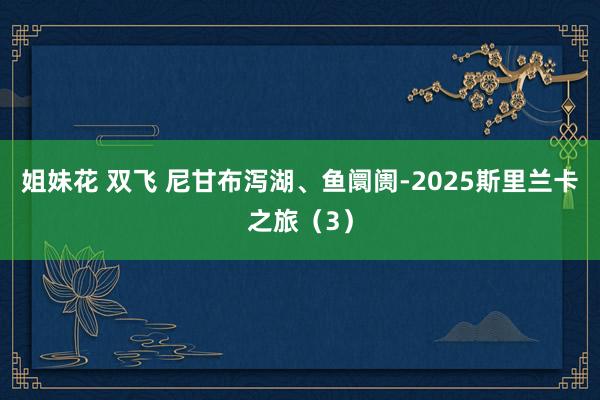 姐妹花 双飞 尼甘布泻湖、鱼阛阓-2025斯里兰卡之旅（3）