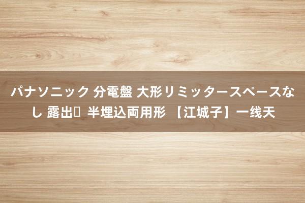 パナソニック 分電盤 大形リミッタースペースなし 露出・半埋込両用形 【江城子】一线天