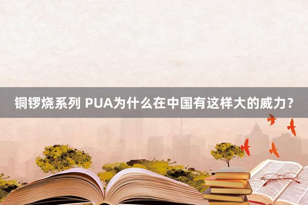 铜锣烧系列 PUA为什么在中国有这样大的威力？