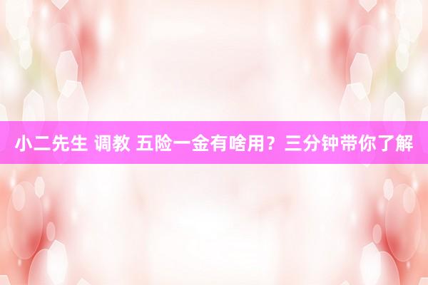 小二先生 调教 五险一金有啥用？三分钟带你了解